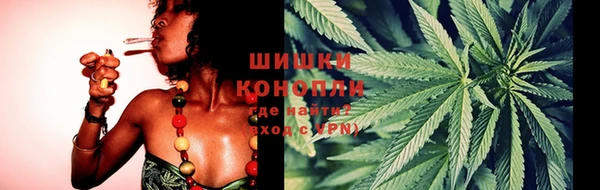 PSILOCYBIN Вязьма