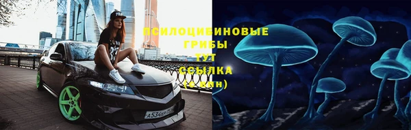 PSILOCYBIN Вязьма