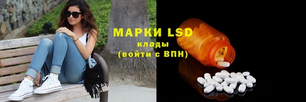 PSILOCYBIN Вязьма