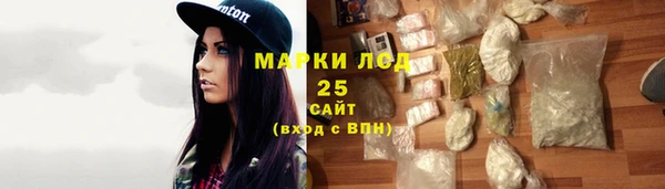 PSILOCYBIN Вязьма